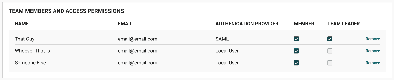 Team Access Permissions