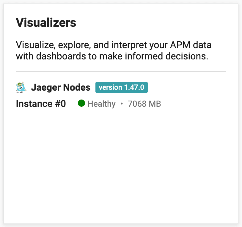 APM Visualizers