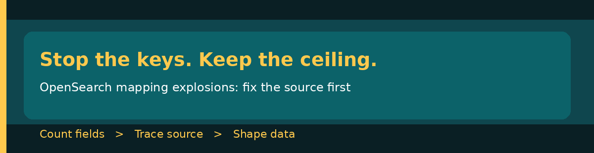 Stop OpenSearch mapping explosions